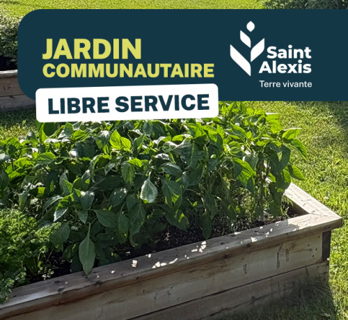🌿🍅 Des légumes et fines herbes en libre-service au jardin communautaire
