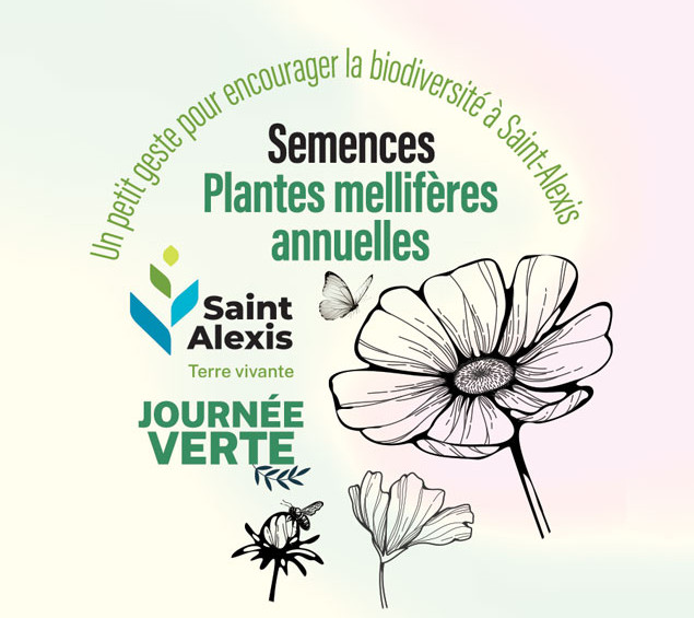 Journée Verte • Semences de plantes mellifères annuelles