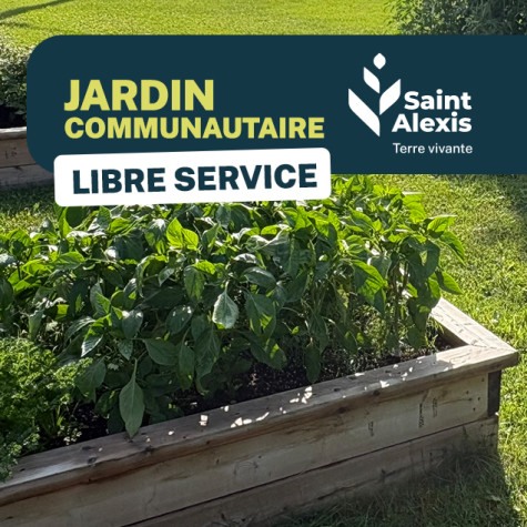 🌿🍅 Des légumes et fines herbes en libre-service au jardin communautaire
