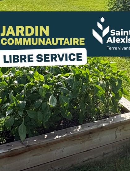 🌿🍅 Des légumes et fines herbes en libre-service au jardin communautaire