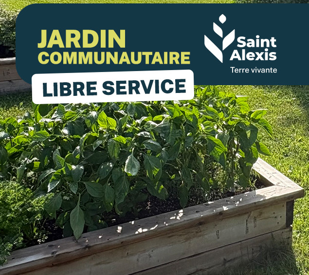 🌿🍅 Des légumes et fines herbes en libre-service au jardin communautaire